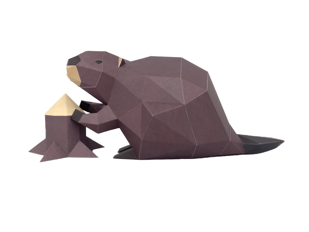 Beaver - papercraft kit low-poly style