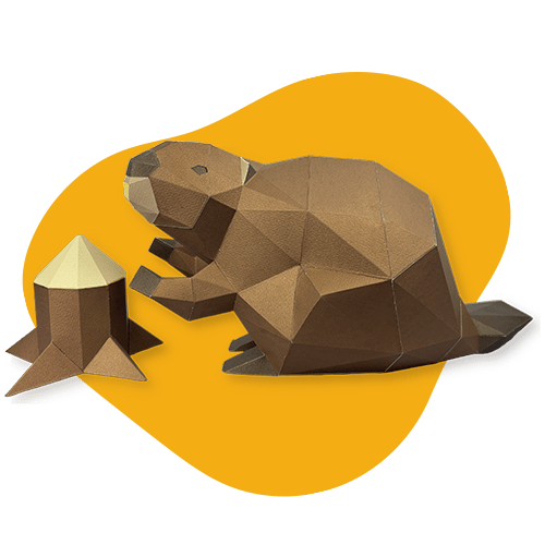 Beaver - papercraft kit low - poly style