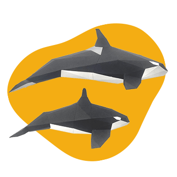 Orca Family - papercraft kit low-poly style
