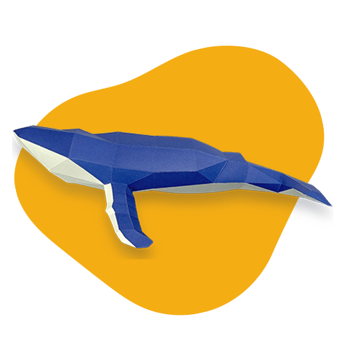 Humpback Whale - papercraft kit low - poly style