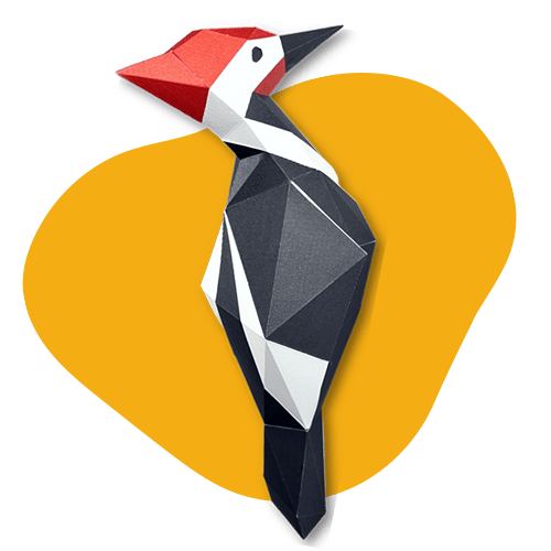 Woodpecker - papercraft kit low - poly style