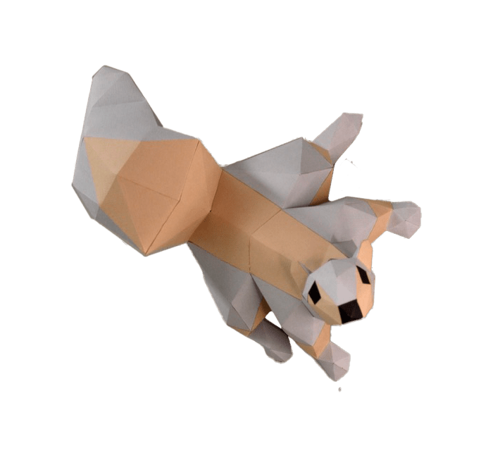 Squirrel on a tree - papercraft kit low-poly style